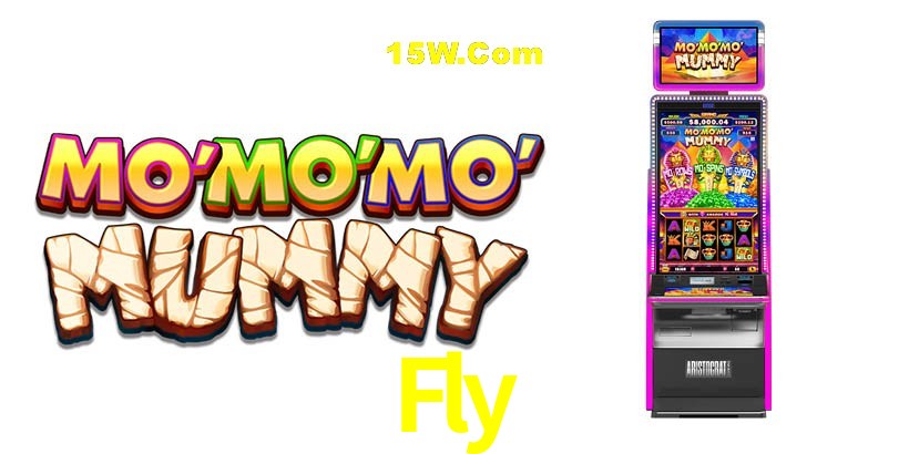 Flash Promotion 7Fly7